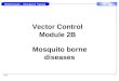 Vector Control Module 2B