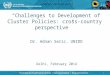 “Challenges to Development of Cluster Policies: cross-country perspective”