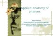 Applied anatomy of pharynx