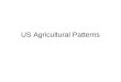 US Agricultural Patterns