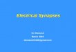 Electrical Synapses