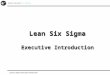 Lean Six Sigma Executive Introduction