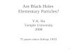 Are Black Holes  Elementary Particles? Y.K. Ha Temple University 2008