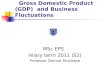 Gross Domestic Product (GDP) and Business Fluctuations