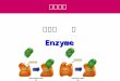 第四章   酶 Enzyme