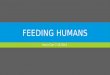 FEEDING  HUMANS