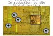 Concepts and Introduction to RNA Bioinformatics