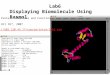 Lab6 Displaying Biomolecule Using Rasmol