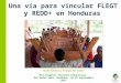 Una  vía para vincular FLEGT y  REDD+  en  Honduras