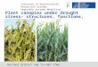 Plant canopies under drought stress– structures, functions,  (genes)  and models