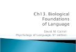 Ch13. Biological Foundations of Language