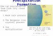 Precipitation Formation