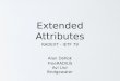 Extended Attributes