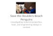 Save the Boulders Beach Penguins