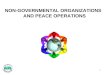 NON-GOVERNMENTAL ORGANIZATIONS   AND PEACE OPERATIONS