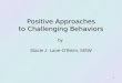 Positive Approaches to Challenging Behaviors by  Stacie J. Lane-Oâ€™Brien, MSW