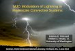 MJO Modulation of Lightning in Mesoscale Convective Systems