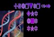 Chapter 12 DNA  and  RNA