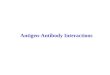 Antigen-Antibody Interactions
