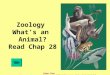 Zoology  What’s an  Animal? Read Chap 28