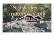 Norské lesní mateřské školy