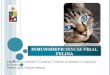 Leucemia e inmunodeficiencia viral felina