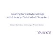 Gearing for Exabyte Storage with Hadoop Distributed Filesystem