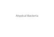 Atypical Bacteria