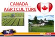 CANADA  AGRICULTURE