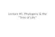 Lecture #1: Phylogeny & the  “ Tree of Life ”