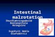 Intestinal malrotation
