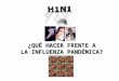 ¿Qué hacer frente a la influenza  pandémica ?