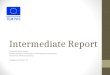 Intermediate Report