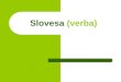 Slovesa (verba)