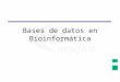 Bases de datos en Bioinformática