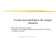 Exame parasitológico do sangue Malária Profa. Dra. Marcia Graminha