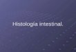 Histología intestinal