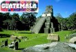 Plaza Mayor,Tikal