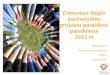 Comenius Regio  partnerys t ė s projekto parai š kos pateikimas  2013 m