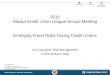 2010 Alaska Credit Union League Annual Meeting Emerging Fraud Risks Facing Credit Unions