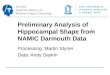 Preliminary Analysis of Hippocampal Shape from NAMIC Darmouth Data