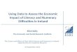 Using Data to Assess the Economic Impact of Literacy and Numeracy Difficulties in Ireland