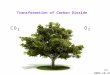 Transformation of Carbon Dioxide
