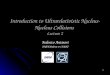 Introduction to  Ultrarelativistic  Nucleus-Nucleus Collisions  Lecture 2