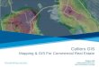 Colliers GIS Mapping & GIS For Commercial Real Estate