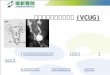 排尿中膀胱尿道攝影術 (VCUG)