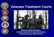 Veterans Treatment Courts