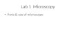 Lab 1  Microscopy