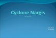 Cyclone  Nargis Spring 2008