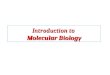 Introduction to  Molecular Biology